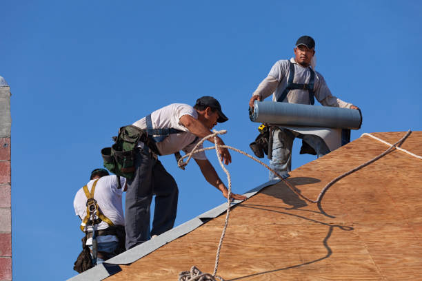 Best New Roof Installation  in Marysville, WA