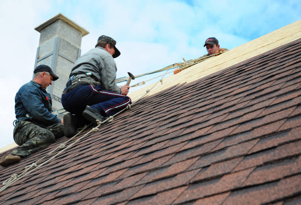 Best Roof Gutter Cleaning  in Marysville, WA
